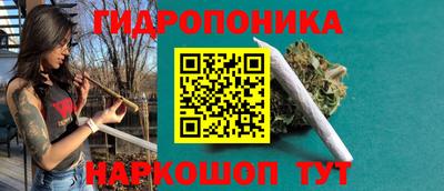 гидропоника Будённовск