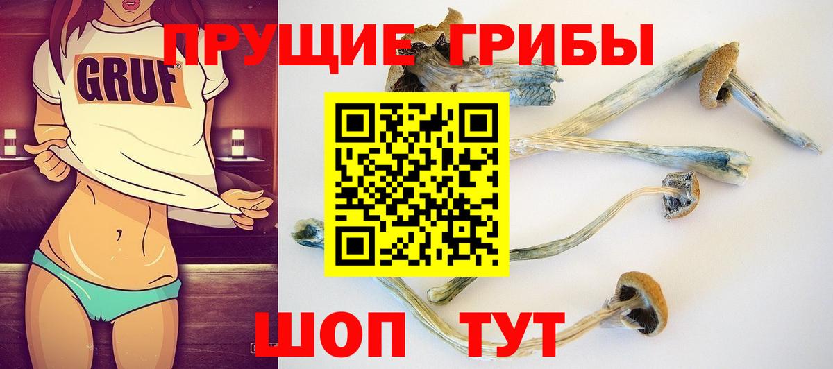 Галлюциногенные грибы Psilocybine cubensis  где продают   Вход с VPN  Химки  Псилоцибиновые грибы GOLDEN TEACHER 